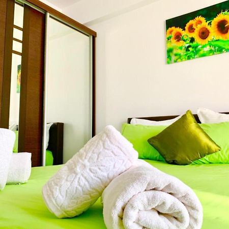 Elyse Comfortable Apartment Close To Palas Mall 이아시 외부 사진