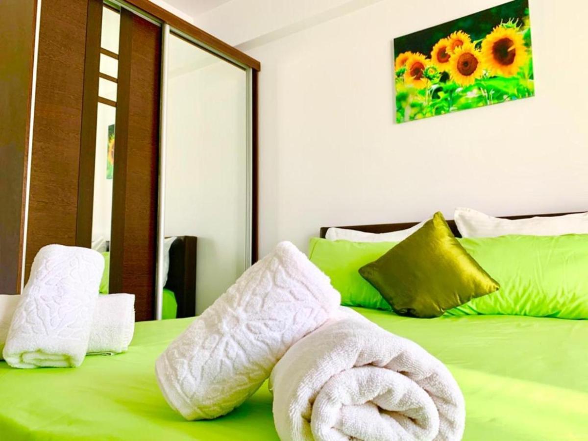 Elyse Comfortable Apartment Close To Palas Mall 이아시 외부 사진