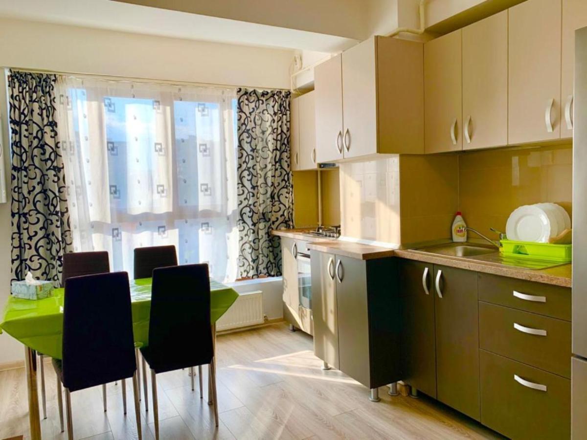 Elyse Comfortable Apartment Close To Palas Mall 이아시 외부 사진