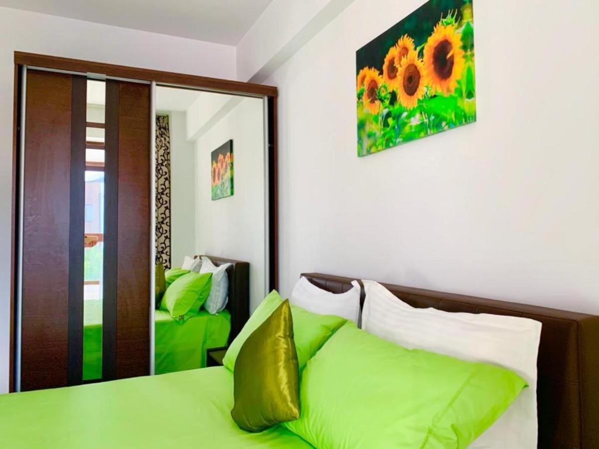 Elyse Comfortable Apartment Close To Palas Mall 이아시 외부 사진