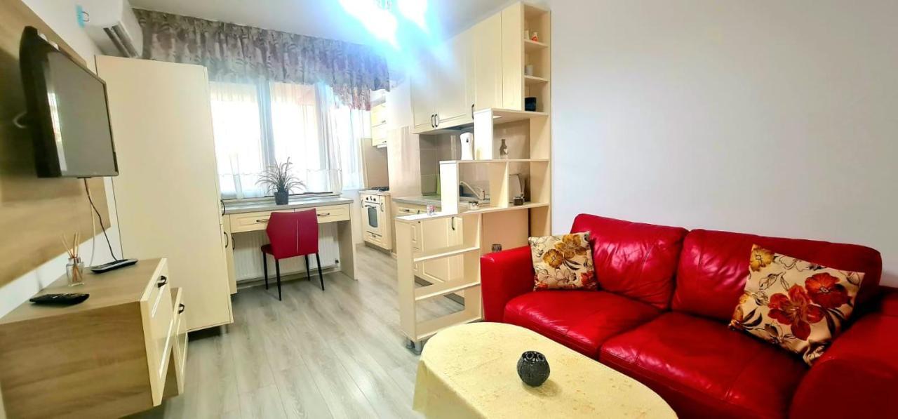 Elyse Comfortable Apartment Close To Palas Mall 이아시 외부 사진