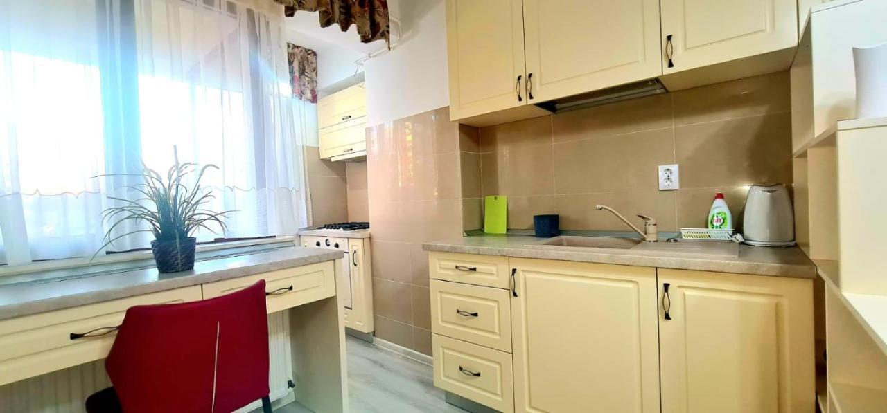 Elyse Comfortable Apartment Close To Palas Mall 이아시 외부 사진