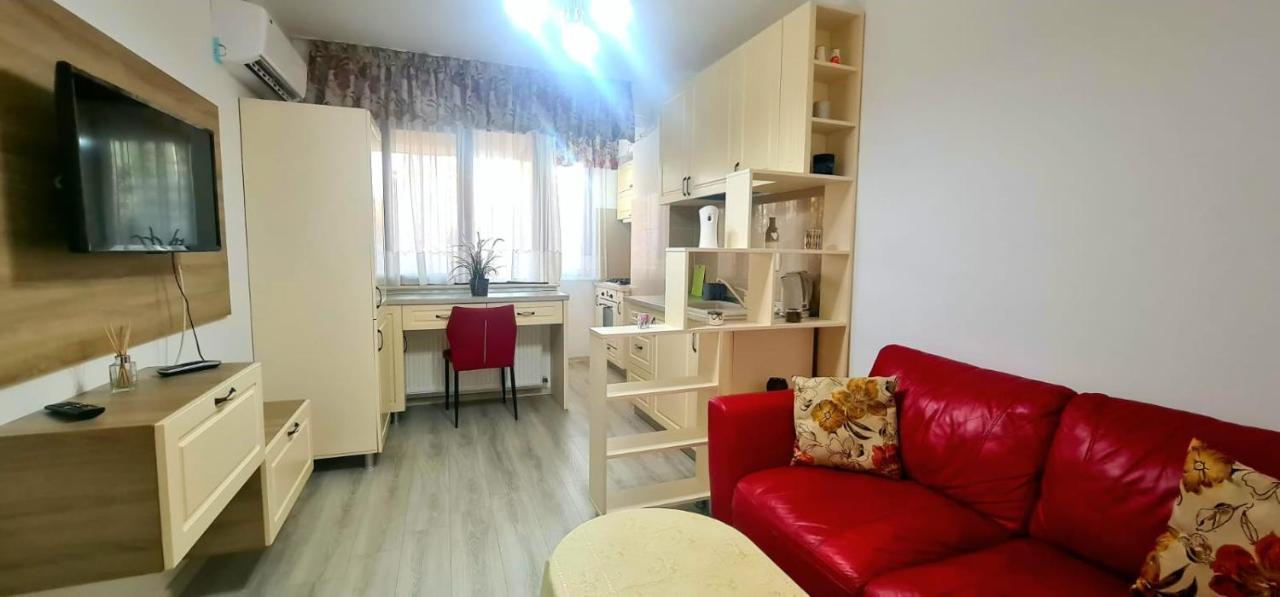 Elyse Comfortable Apartment Close To Palas Mall 이아시 외부 사진